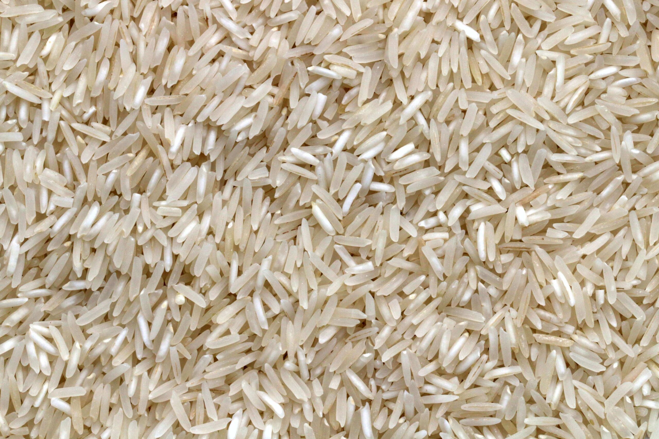 ویژگی ظاهری برنج فجر