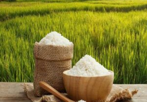 مواد مغذی موجود در برنج