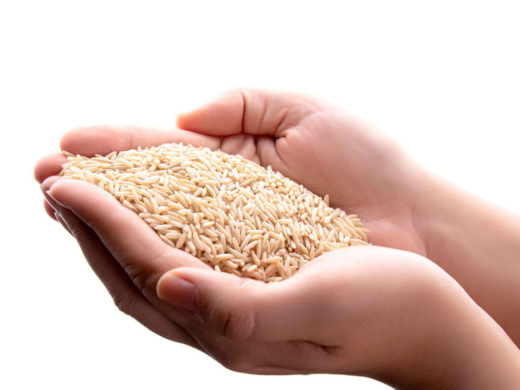 تشخیص برنج نو و کهنه
