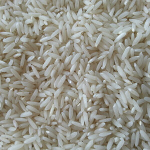 خرید عمده برنج طارم هاشمی